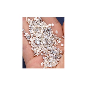 May include: A close-up of a hand holding a collection of small, white, and iridescent pearls. The pearls are of irregular shapes and sizes. The background is a dark blue. The pearls appear to be natural and unpolished.