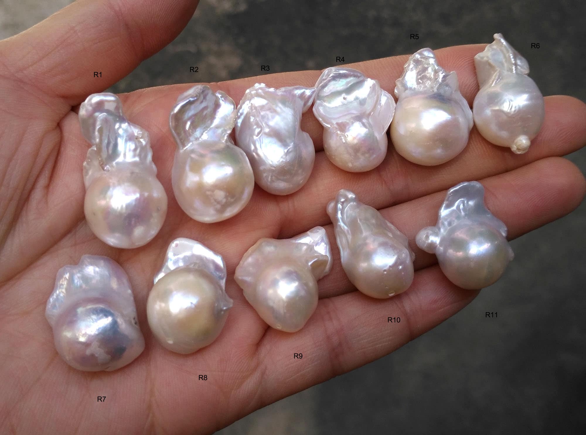 ripsalis fall baroque pearl 淡水パール fall〈pearl top〉 | ripsalis