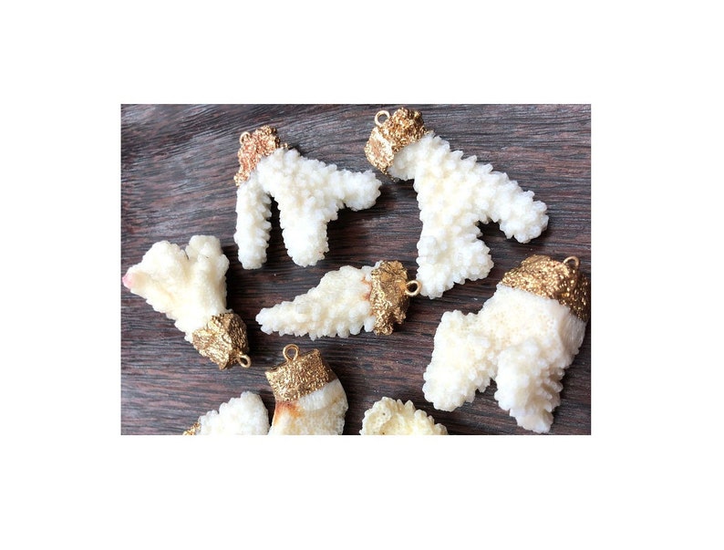 Peut inclure: Une collection de morceaux de corail blanc avec des accents dor&eacute;s. Chaque pi&egrave;ce a une boucle pour accrocher. Le corail est un mat&eacute;riau naturel et chaque pi&egrave;ce est unique.