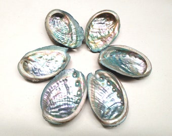 Abalone Shell, Seashell Incense Burner, Smudge Bowl For Holding Smudge Sticks, Incense, Crafts, Display, PB1949