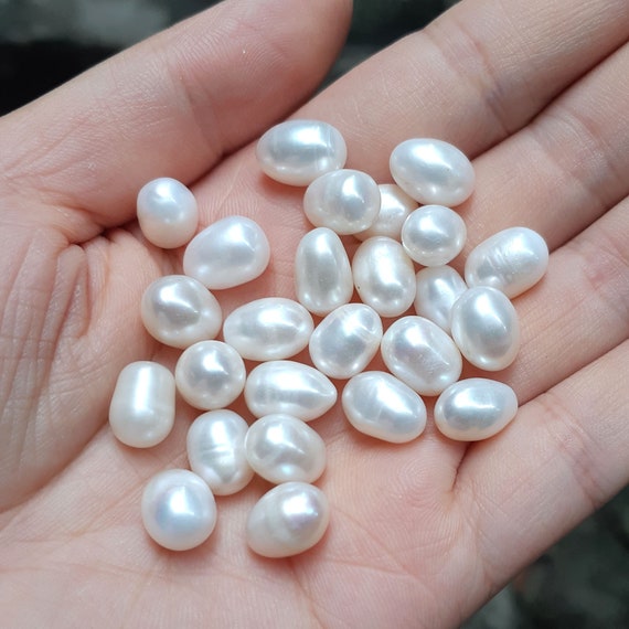 Drop Pearl Oyster, 7-9mm Pearl Oyster, Bulk Wholesale, White Pearl, Wish  Pearl, Vacuum-packed, Oyster Pearls in Shell 