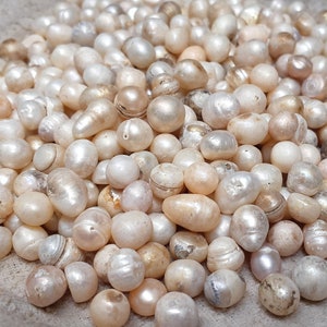 Natural Fresh Water Pearl Beads, 12mm by Bead Landing™