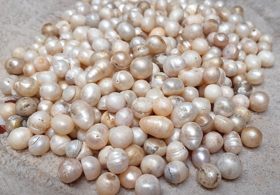 Perla de 9-15 mm, Sin agujero, perlas naturales sueltas, perla sin pulir,  perla áspera, al por mayor, 50g PB229