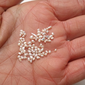 10pcs 1-3mm White seed baroque freshwater pearls,small size white freshwater potato loose pearl,tiny pearl supply PB1356