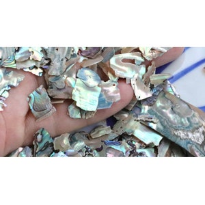 Undrilled Natural Blue Abalone Shell Irregular Chips for Nail Art/ Inlay Embellishment/ Jewelry Making Supplies 5-500g  GB103