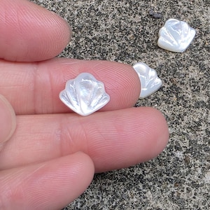 Small Special White Mother of Pearl Shell Fan Pendant Charm, Carved Bead,  Craft GB2130
