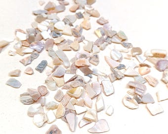Puede incluir: Un conjunto de pequeños trozos de concha de forma irregular en tonos crema, rosa y gris. Los fragmentos están dispersos sobre una superficie blanca, creando una estética texturizada y natural. Ideal para manualidades y joyería.