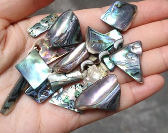 Puede incluir: Una colección de piezas de concha de abulón iridiscente en varias formas y tamaños. Las conchas tienen un brillo iridiscente azul, verde y morado.
