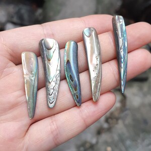 May include: Five iridescent abalone shell pieces in various shapes and sizes. The shells have a natural, organic look with a mix of green, blue, and brown colors.