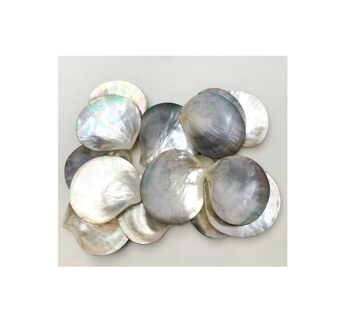 Blacklip shell 90mm round - Beads and Pieces Wholesale Pendants