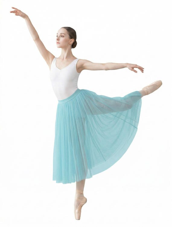 Chiffon Ballet Skirt: Full Circle Sheer Dance Skirt