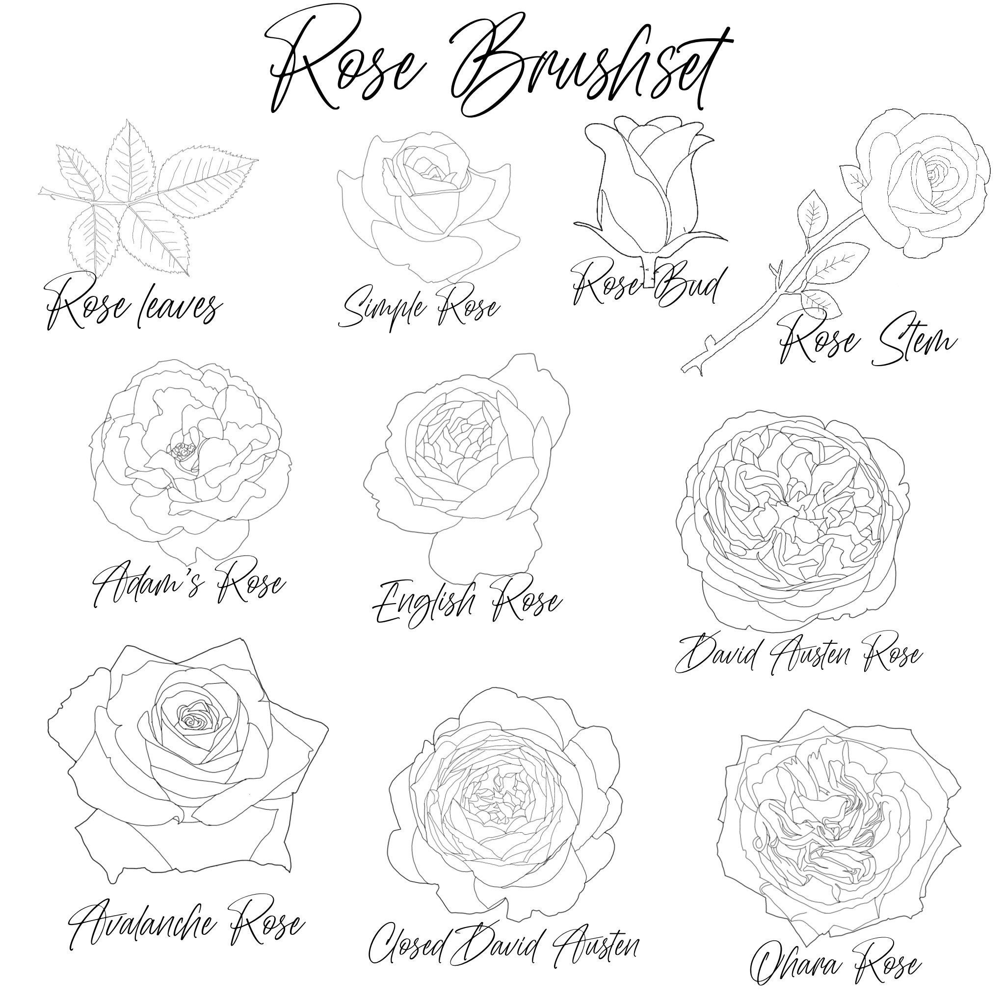 Rose Flower Procreate Stamps Outline and Filled Rose Stamp Brushes ...