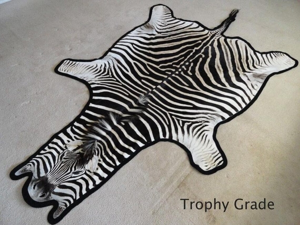Authentic African Zebra Skin/Hide Rug. Grade AA Flawless Rug Etsy