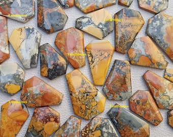 Coffin Shape Maligano Jasper Cabochon Gemstone Wholesale buy Lot, Semi-Precious Coffin Shape Maligano Jasper By Weight in Different Sizes