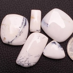 May include: Four polished white dendritic opal cabochons with black fern-like inclusions of varying shapes and sizes, displayed next to a United States quarter coin for scale. The stones have smooth, rounded surfaces and irregular organic patterns.