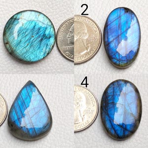 May include: Four polished labradorite gemstones in various shapes: round, oval, and teardrop. The stones display iridescent blue and teal flashes. A quarter coin is included for size comparison. The gemstones are set against a light background.