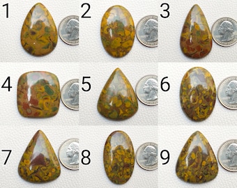 Natural Fruit Jasper Gemstone Cabochons | Choose Yours
