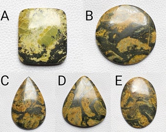 May include: Five polished gemstones in different shapes: a rectangle, a circle, a teardrop, a triangle, and an oval. The stones display olive green, black, and tan patterns. Suitable for jewellery making or collecting. Measurements are in centimetres.