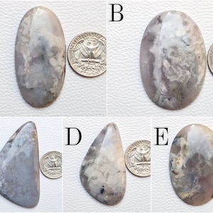 May include: Five polished gemstones in various shapes, each with a unique pattern of gray, white, and lavender hues. A quarter coin is placed next to each stone for size comparison. The stones have a glossy finish.