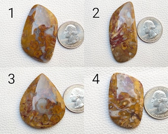Natural Palm Root Agate Cabochon Designer Stone Macrame Jewelry for Wire Wrap