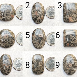 Natuurlijke edelsteen | Gabbro jaspis cabochon van TotalStones | Eenzijdige platte steen | Mix vormen en maten Gabbro-jaspis | Draadwikkelcabochon