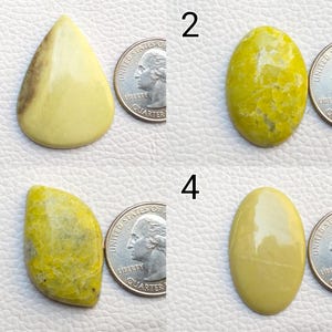 以下が含まれることがあります： 黄色と緑の色合いの4つの磨かれた宝石が表示されています。 各石は、しずく型や楕円形など、ユニークな形をしています。 サイズ比較のために、各石の横に米国の25セント硬貨が配置されています。 宝石は滑らかで磨かれた表面を持っています。