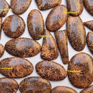 以下が含まれることがあります： さまざまな形とサイズの、茶色とオレンジ色の樹枝状瑪瑙のカボションが15個集まったものです。カボションは、明るいオレンジ色の背景に茶色の樹枝状模様が入り、自然で有機的な外観をしています。