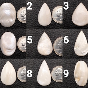 May include: Nine white mother of pearl cabochons in various shapes, including oval and teardrop, with a US quarter for scale.