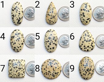 Natuurlijke Dalmatische cabochon halfedelsteen Wire Wrapping Sieraden Mix vormen en grootte Dalmatische jaspis Eenzijdige platte helende kristallen