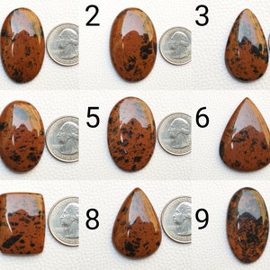 May include: Nine polished obsidian gemstones in various shapes, including oval, teardrop, and rectangular. The stones are a rich brown color with black inclusions. A quarter is included for size reference.