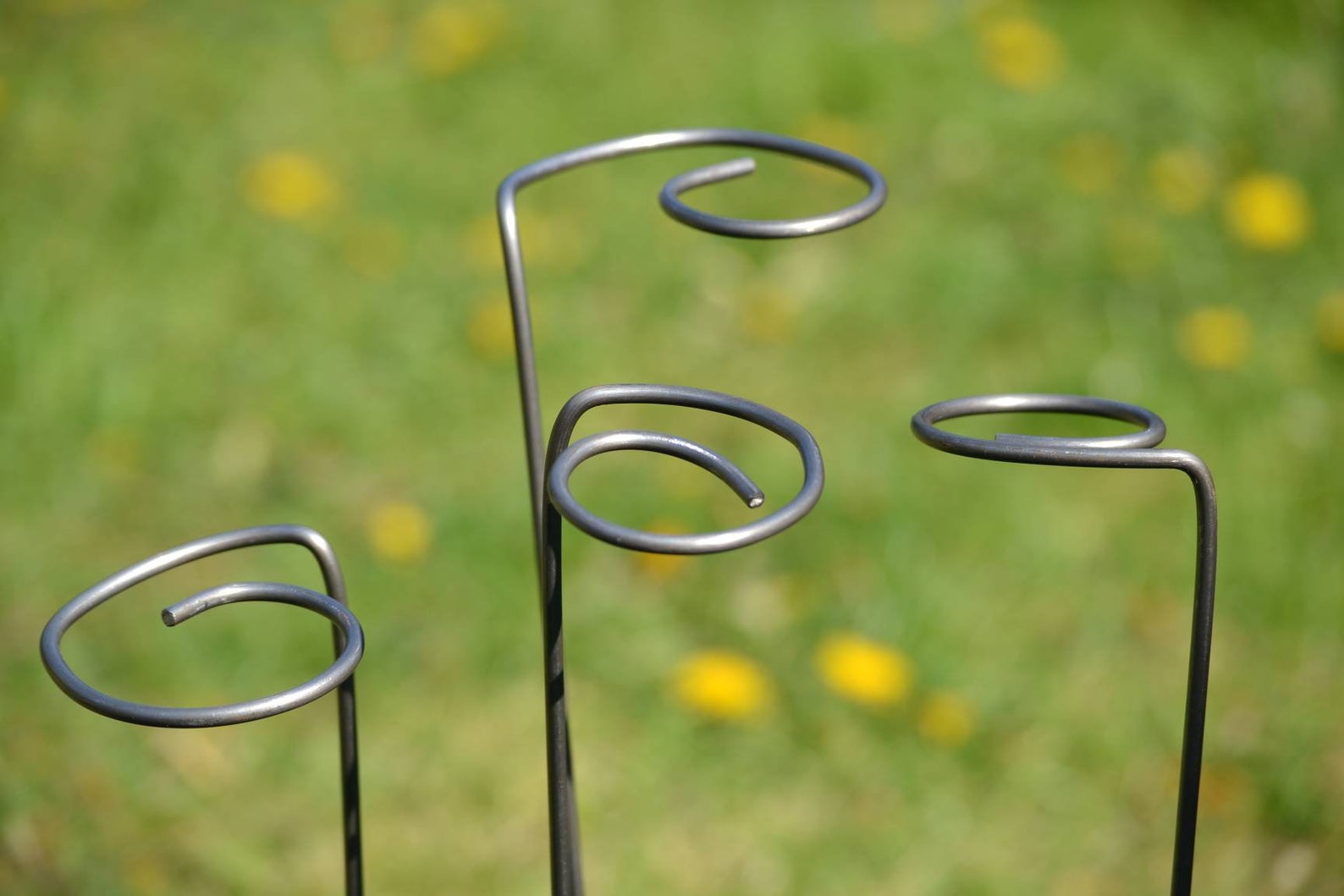 Swirl Plant Flower Sunflower Supports, Steel Stake, Pair Etsy