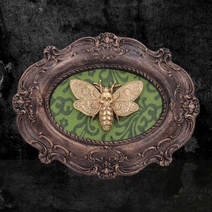 Moth, Moth Macabre , Gothic Picture ,Death Head Moth, Framed Death Head Moth , Nemesis Now