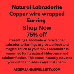Copper Wire Wrapped Labradorite Dangle Earrings image 7