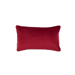 May include: A solid red rectangular pillow with a smooth velvet texture.