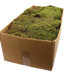 25Eur/kg &gt; 2kg mospanelen mosgroen middelgroen groen paneel mos natuurlijke decoratie o322 decoratieve mos decoratie mos natuur decoratie bloemisterij mos foto