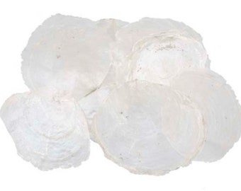 100 Pièces Disques en Nacre Capiz Disques en Nacre Blanc Naturel 7-11 cm CARTES DE TABLE Cartes de Nom Disques Coquillages Assiettes Rondes en Nacre Maritime