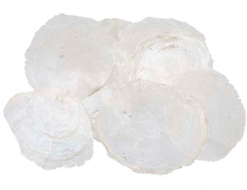 Pack of 100 Mother of Pearl Discs Capiz Mother of Pearl Discs Natural White 7-11 cm TABLE CARDS Name Cards Shell Discs Round Mother of Pearl Plates Maritime image 1