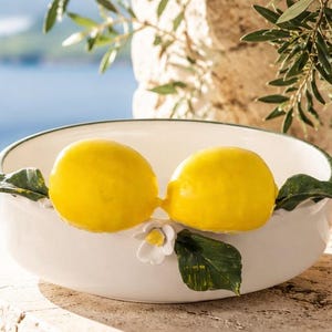 Bol de limón, amarillo, lima, porcelana, decorativo, 250 ml, 18 x 8 cm, decoración de limón, fruta, decoración para fiestas, arreglos, lima