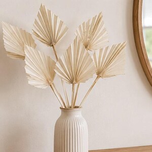 7 pcs Palm spears cream bleached natural decoration 30 cm dried decoration o080 arrangement autumn decoration flowers dried flowers wedding decoration fan palm spears