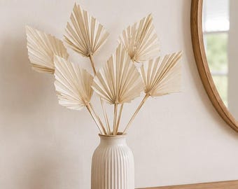 7 stuks crèmekleurige gebleekte natuurlijke palmtakken, decoratie 30 cm, gedroogde decoratie o080 arrangement herfstdecoratie bloemen gedroogde bloemen bruiloftsdecoratie waaier palmtakken