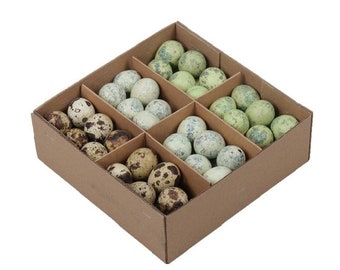 72 PCS Quail Eggs Natural Green Brown Gray Mix Blown Natural Decoration o471 Country House Easter Decorations Crafts Easter Decoration Eggs Quail Decorative Eggs