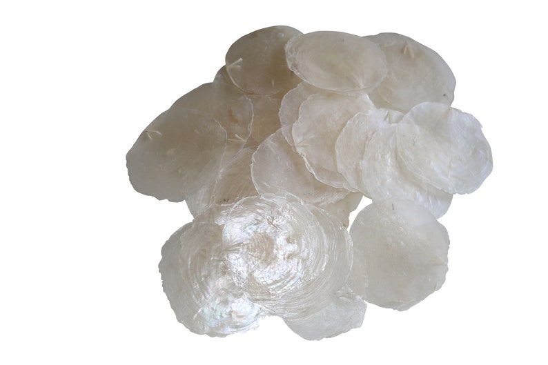 25 PCS Mother of Pearl Discs Capiz Mother of Pearl Discs Natural White 7-11 cm PLACE CARDS Name Cards Shell Discs Round Mother of Pearl Plates Maritime image 7