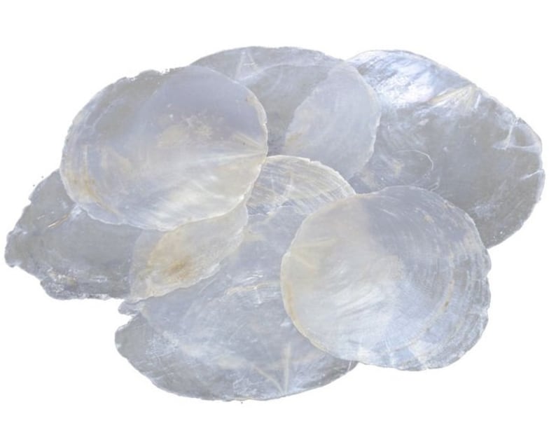100 Mother-of-pearl Capiz Discs, 5-7 Cm, Natural White, for Table Cards ...