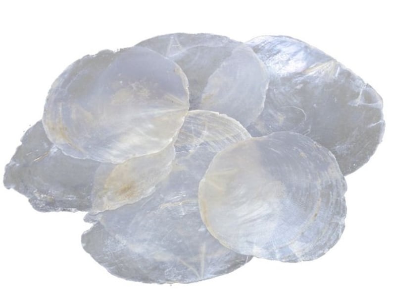 Pack of 100 mother-of-pearl discs capiz discs 5-7 cm mother-of-pearl discs natural white TABLE CARDS name cards shell discs capiz round maritime decoration image 1