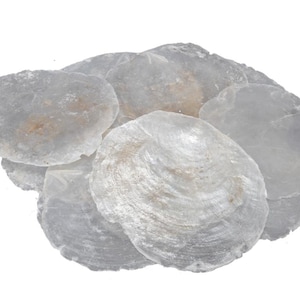 50 pcs Capiz discs mother of pearl discs mix 6-10 cm white wedding decoration hanger shell discs Capiz round maritime decoration table decoration place cards