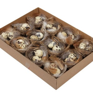 Pack of 4 quail eggs nests bird nest with quail eggs natural blown out natural decoration country house Easter decorations o707 crafts kindergarten Easter 7 cm