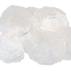 Pack of 150 Mother of Pearl Discs Capiz Mother of Pearl Discs Natural White 5-10 cm TABLE CARDS Name Cards Shell Discs Round Mother of Pearl Plates Maritime image 1