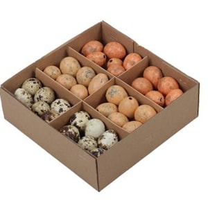 72 STK Wachteleier Natur Orange Apricot braun Mix ausgeblasen Naturdeko o472 Osterschmuck Basteln Ostern Deko Eier Wachteln Dekoeier