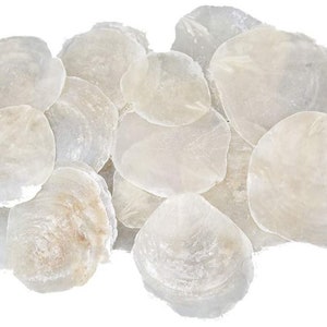 25 PCS Mother of Pearl Discs Capiz Mother of Pearl Discs Natural White 7-11 cm PLACE CARDS Name Cards Shell Discs Round Mother of Pearl Plates Maritime image 1