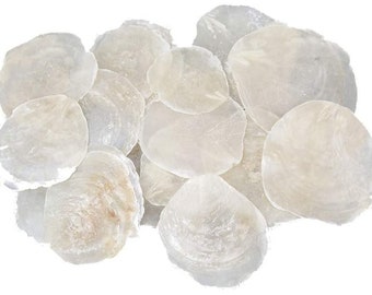 25 PCS Mother of Pearl Discs Capiz Mother of Pearl Discs Natural White 7-11 cm PLACE CARDS Name Cards Shell Discs Round Mother of Pearl Plates Maritime